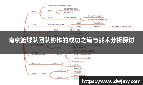 南京篮球队团队协作的成功之道与战术分析探讨
